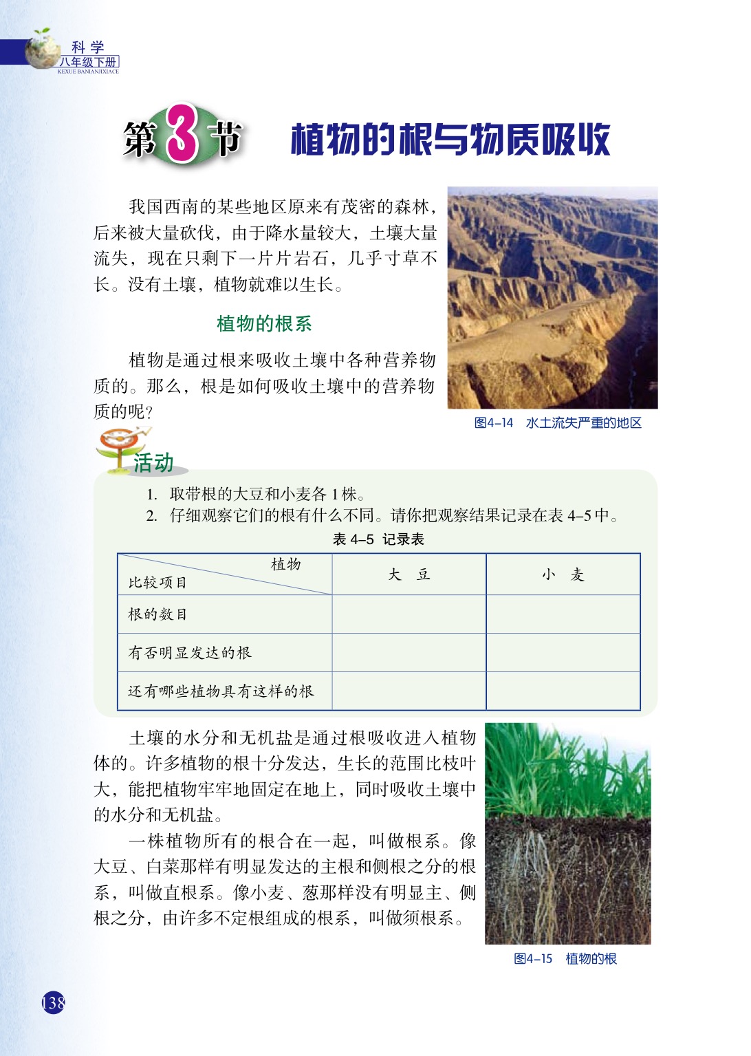 「3」 植物的根与物质吸收