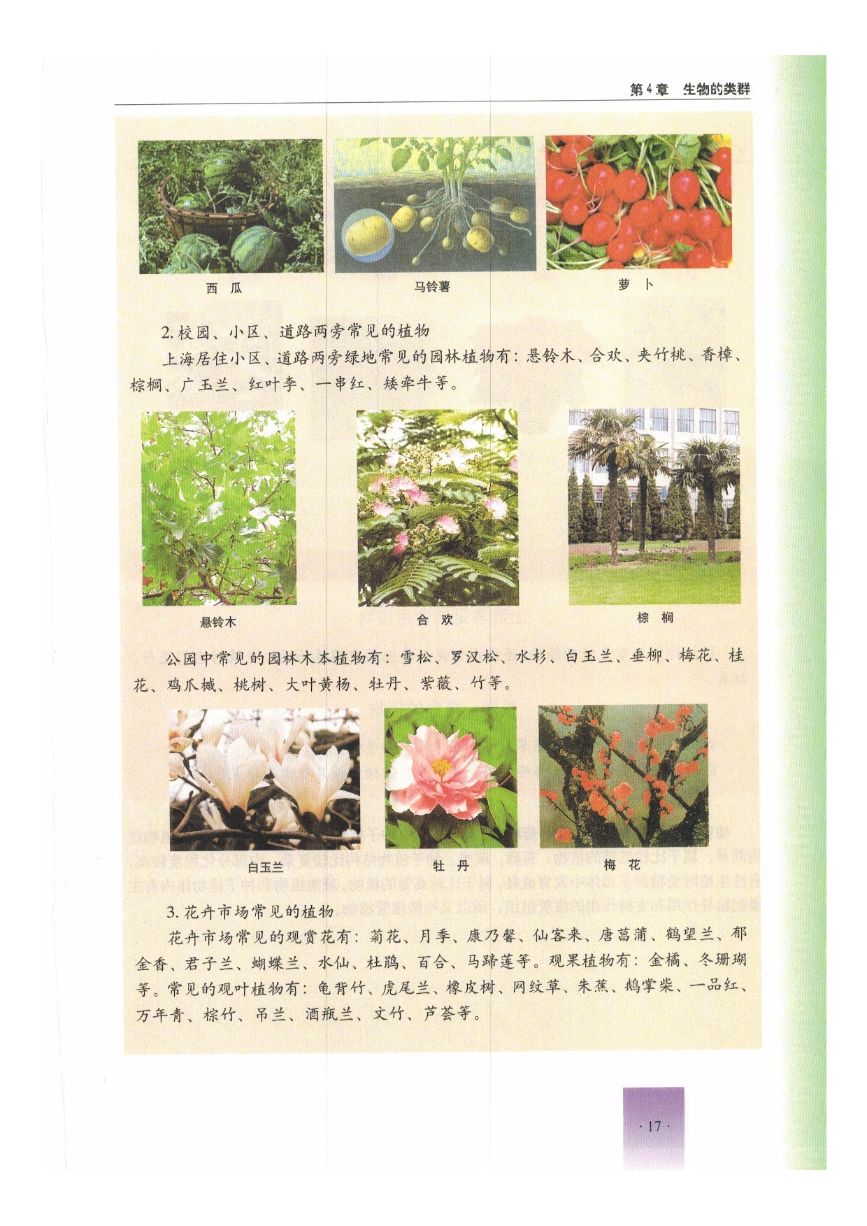 第一节 植物(16)