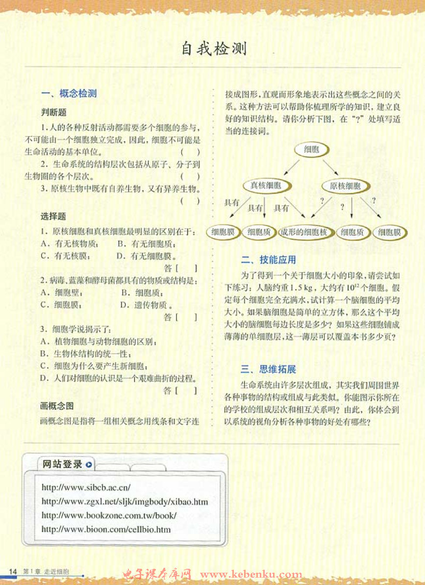 科学前沿 组装细胞(3)