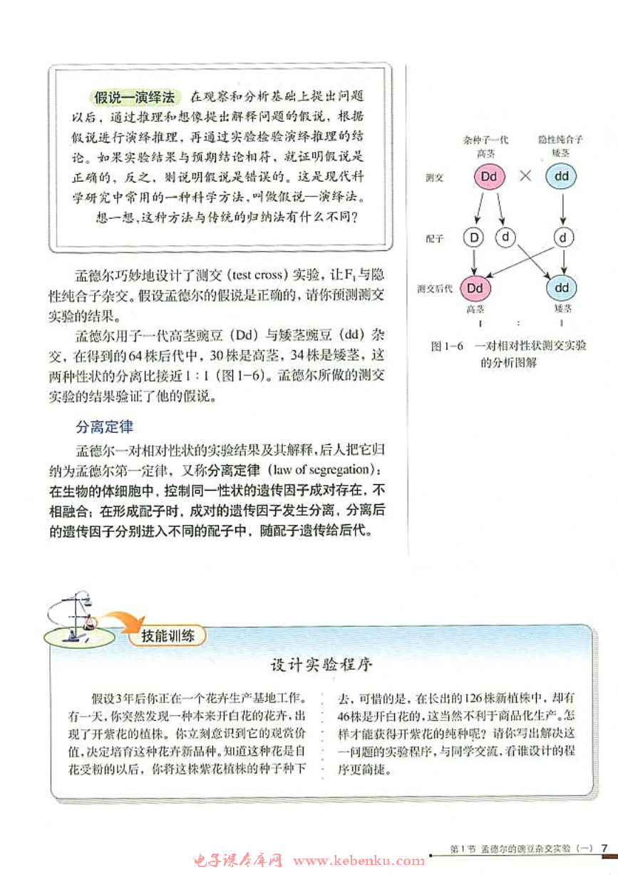 第1节 孟德尔的豌豆杂交实验（一）(6)