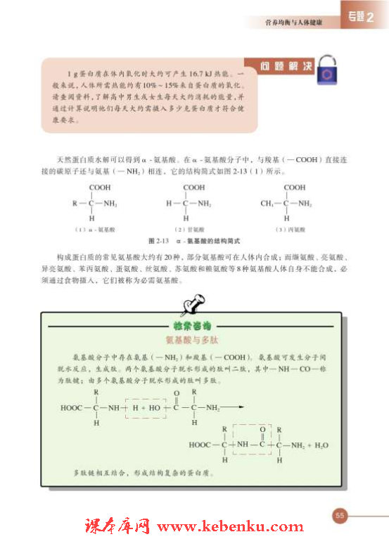 第二单元 提供能量与营养的食物(7)