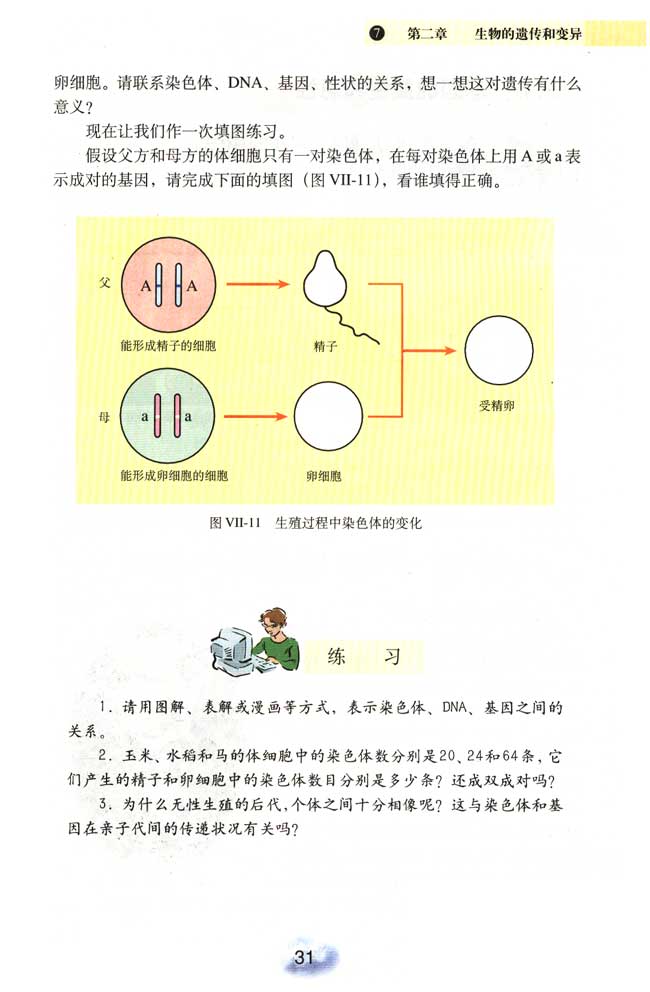 基因经精子或卵细胞的传递(2)