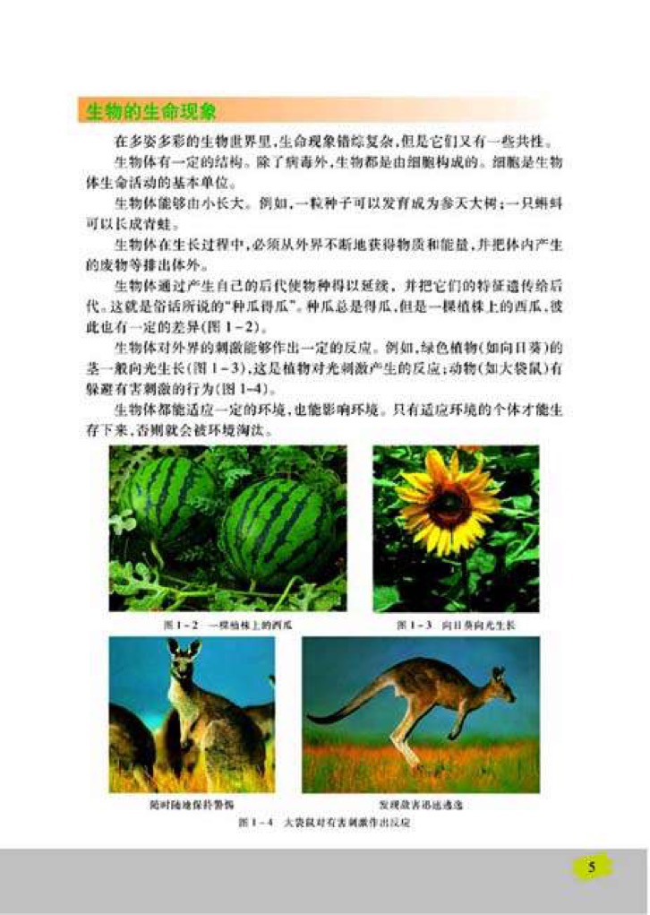 「1」、我们周围的生物(3)