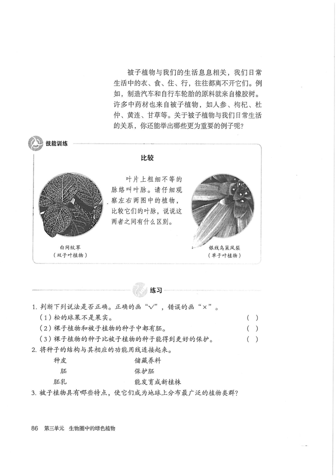 种子植物(8)