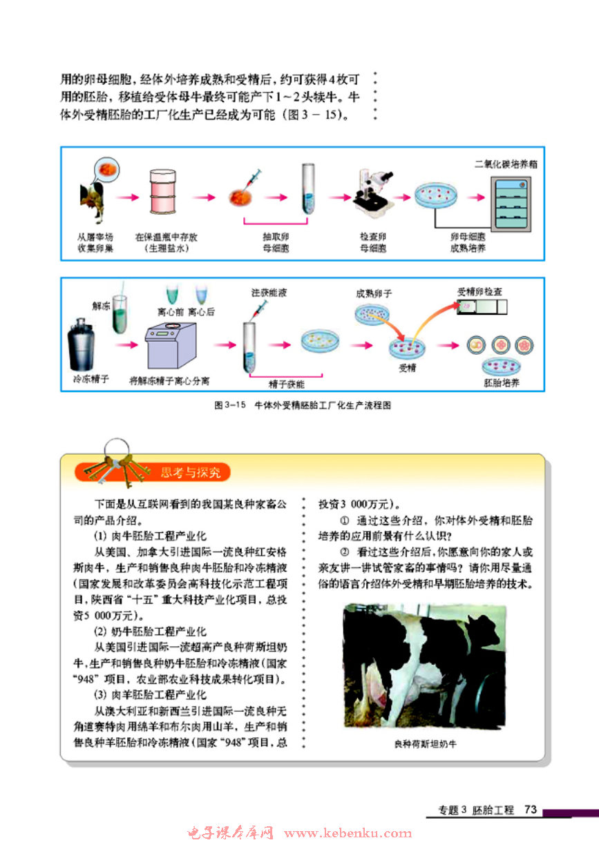 「3」.2 体外受精和早期胚胎培养(5)