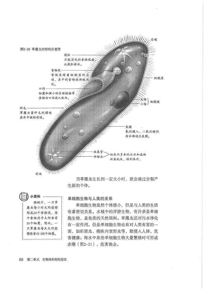 单细胞生物(3)