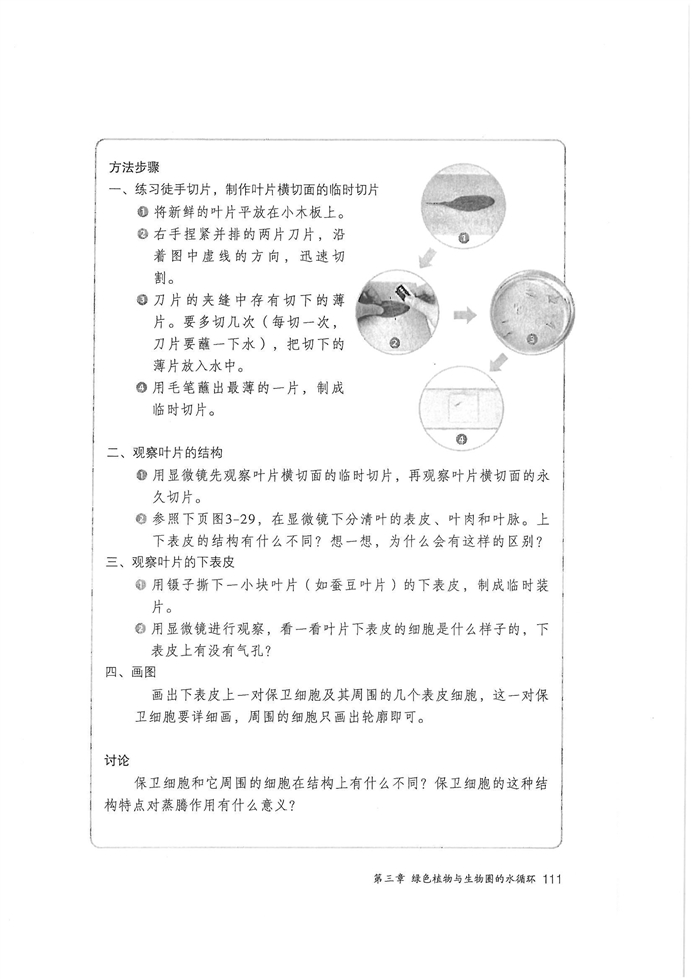 绿色植物与生物圈的水…(4)