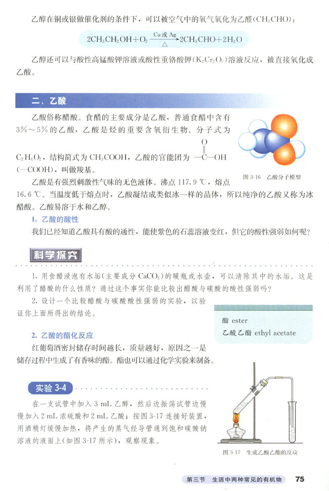 第三节 生活中两种常见的有机物(3)