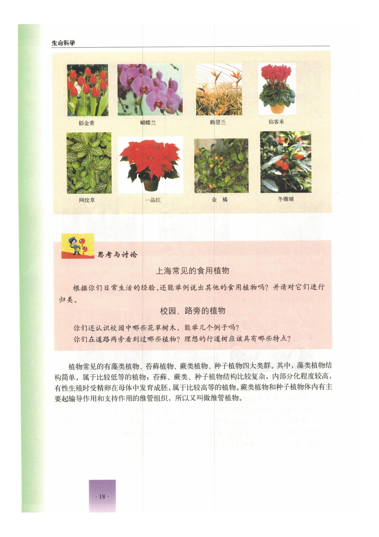 第一节 植物(17)