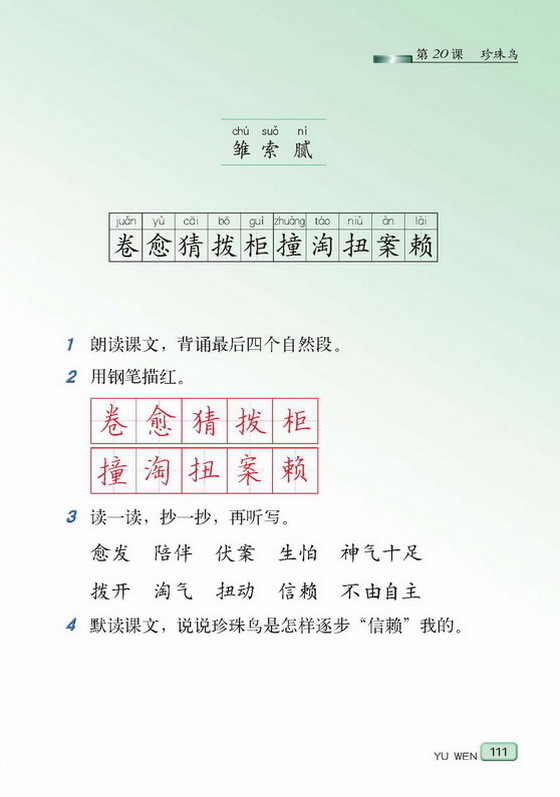 珍珠鸟(3)