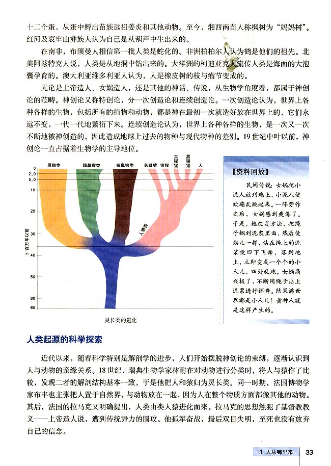 第1课 人从哪里来(2)