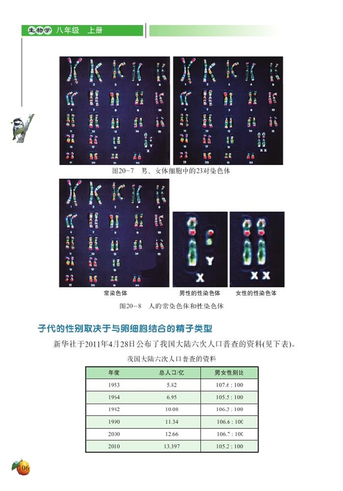 性别和性别决定(3)