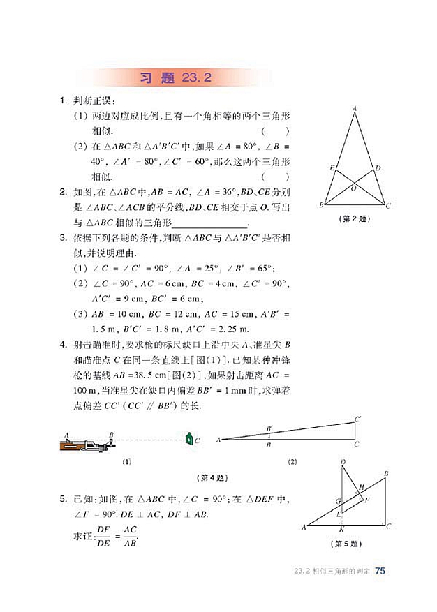 相似三角形的判定(9)