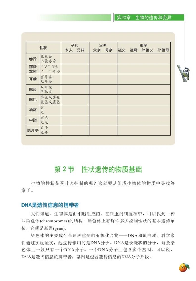 性状遗传的物质基础(2)