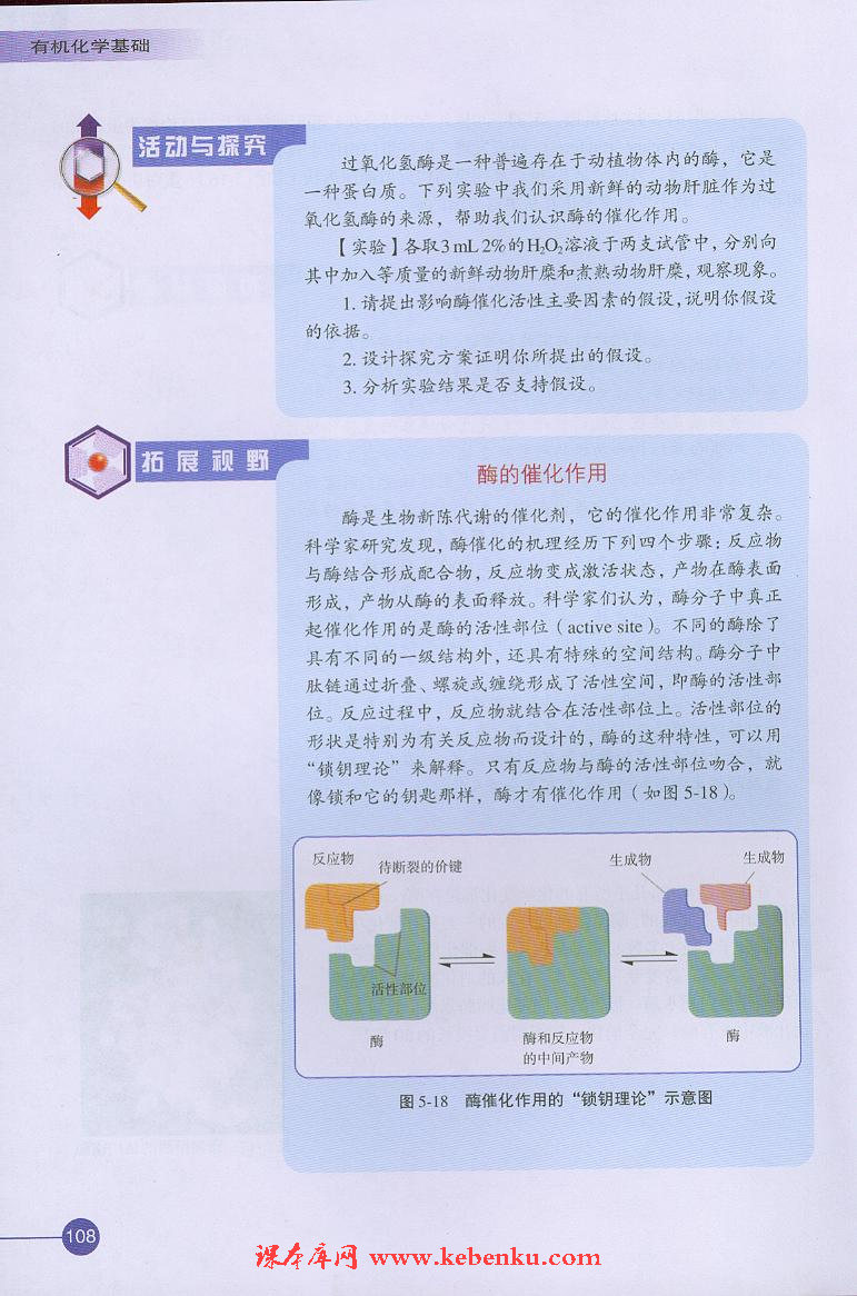 第二单元 氨基酸 蛋白(9)