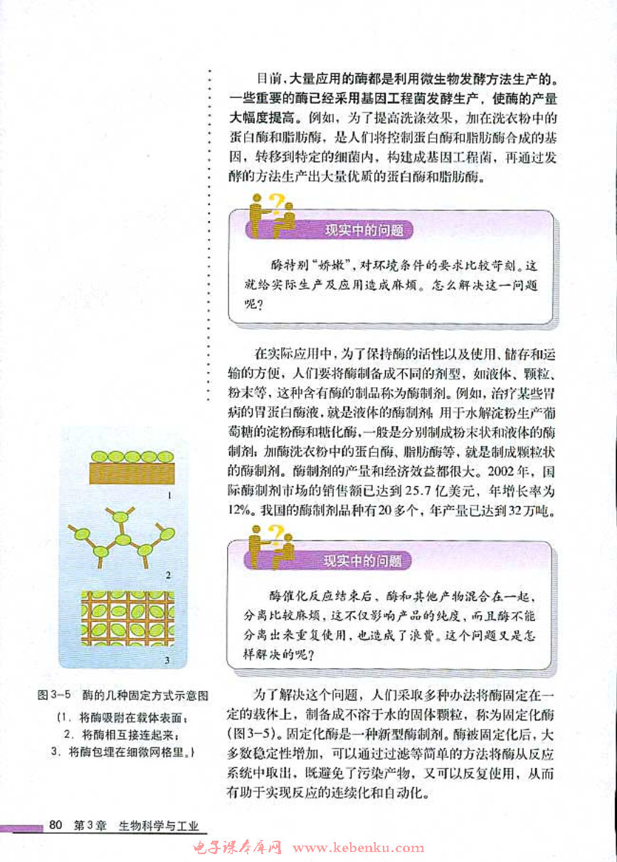 第2节 酶在工业生产中的应用(2)