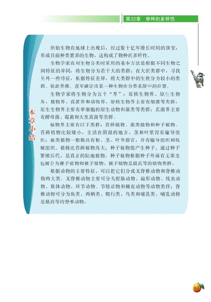 动物的主要类群(19)