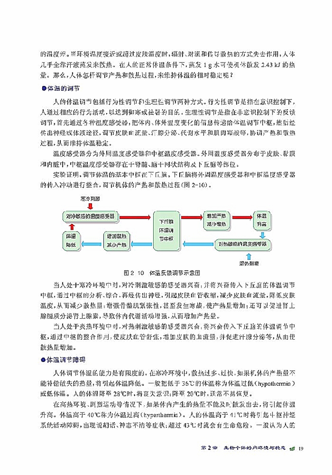 人体的代谢与稳态(10)