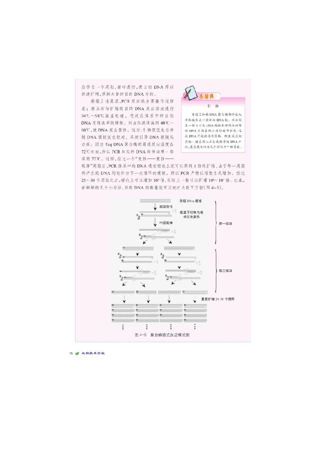 第3节聚合酶链式反应技术(2)