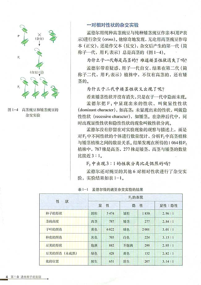 孟德尔的豌豆杂交实验（一）(3)