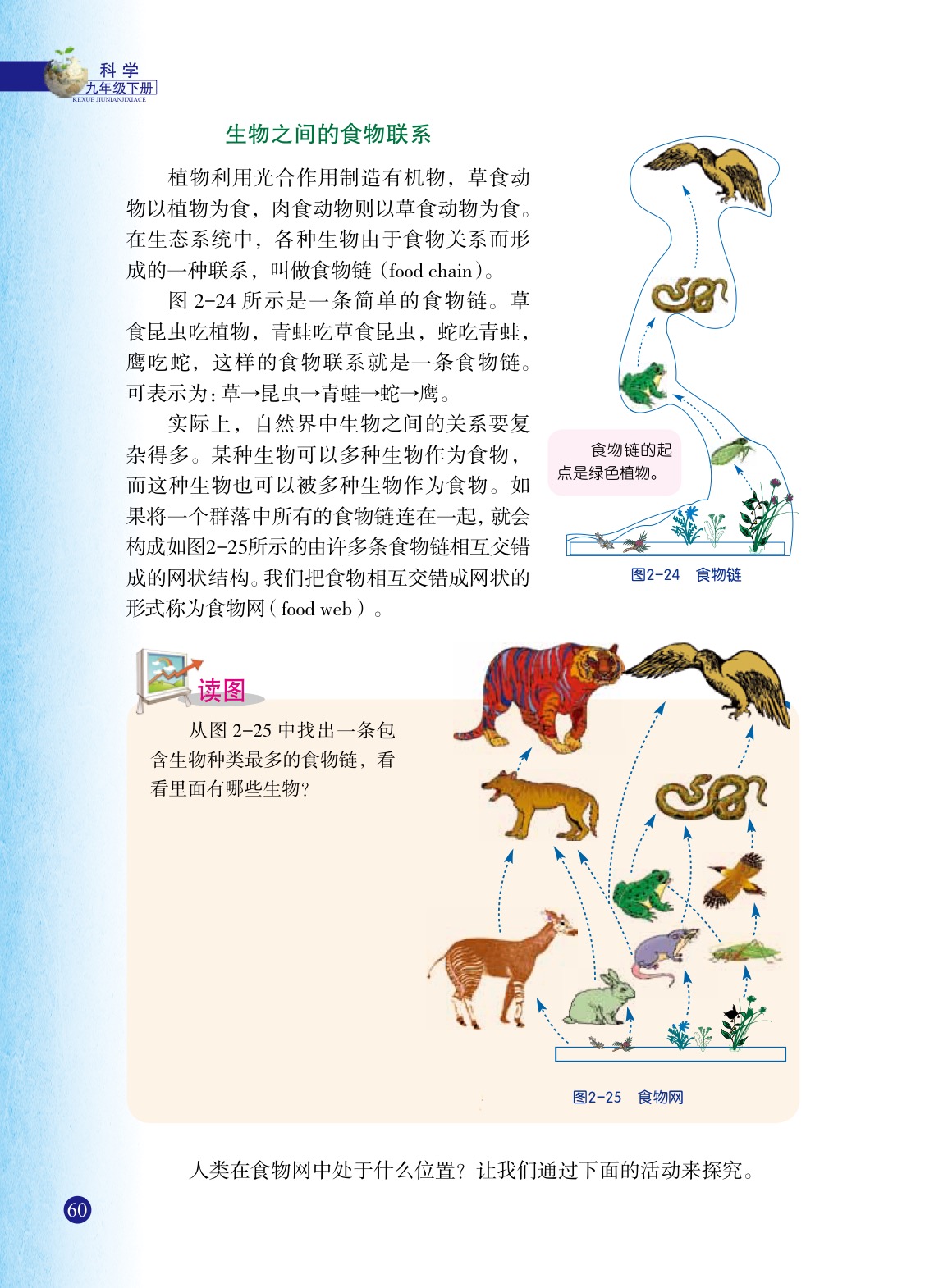 「4」 生态系统的结构和功能(5)