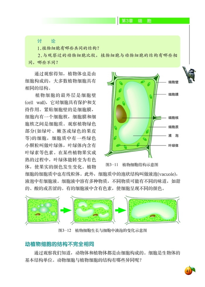 细胞的基本结构和功能(11)