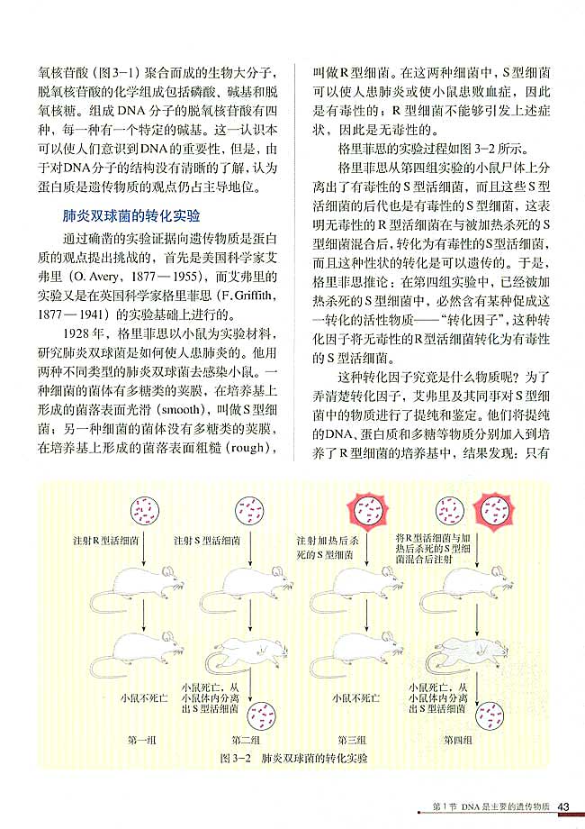 DNA是主要的遗传物质(2)