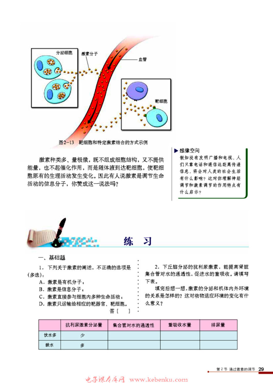 第2節(jié) 通過激素的調(diào)節(jié)(7)