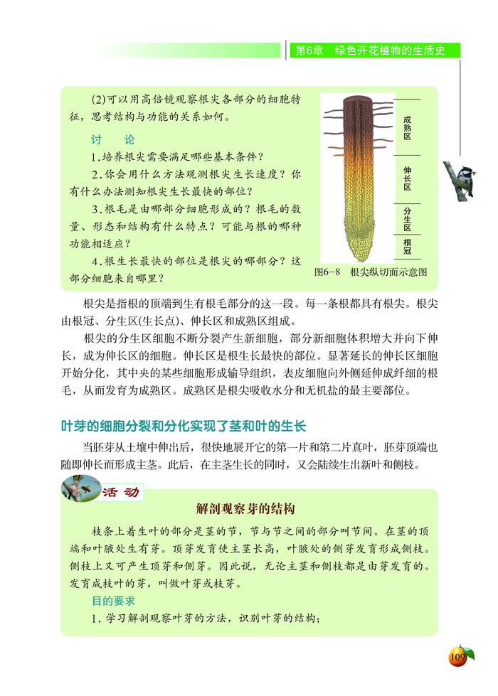 营养器官的生长(5)