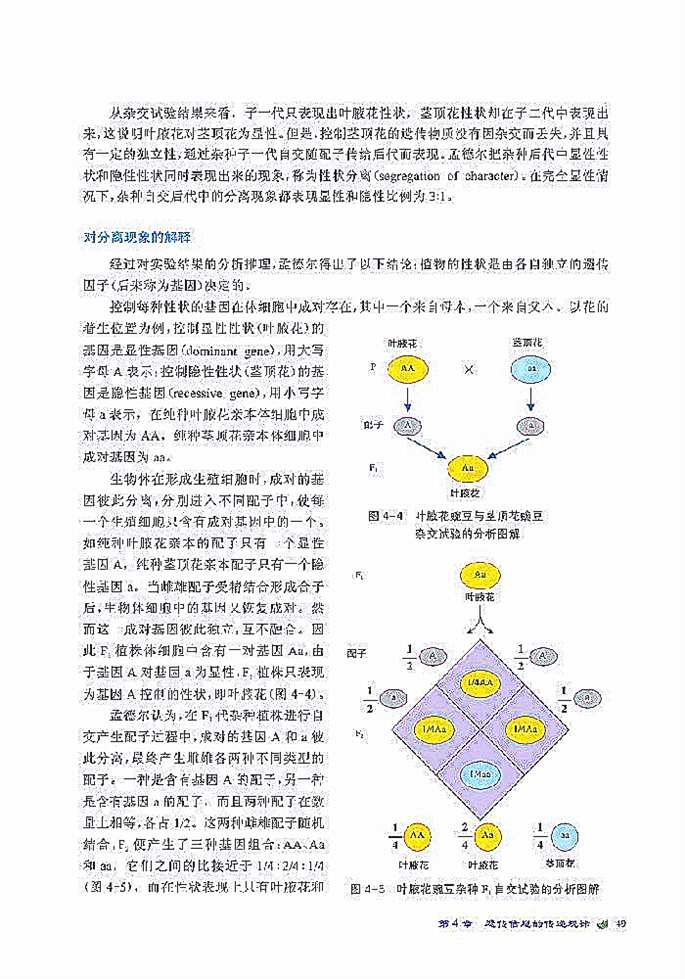 遗传信息的传递规律(3)