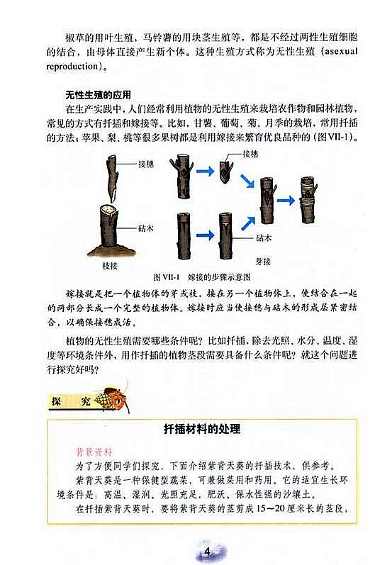 植物的生殖(4)