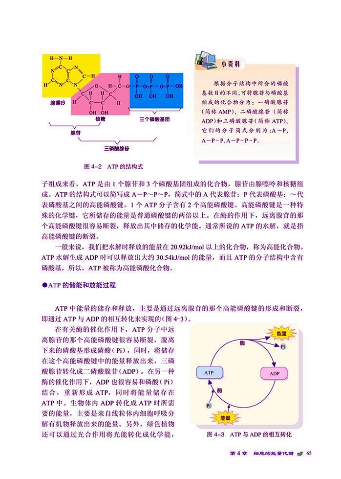 生命活动的直接能源(2)