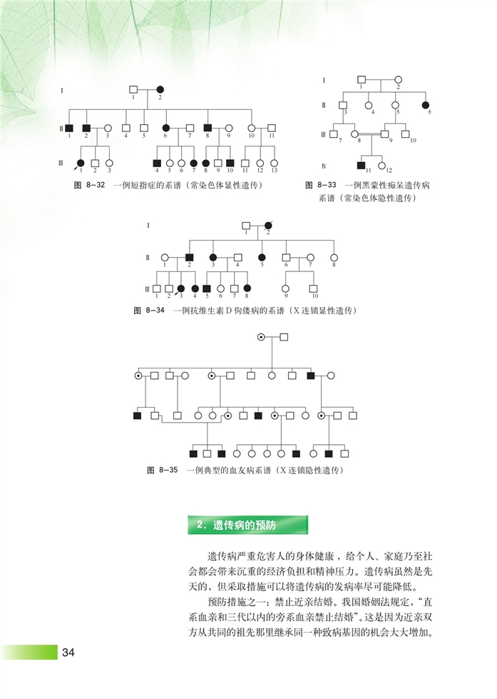 人类遗传病和遗传病预防(4)