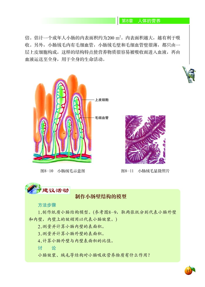 食物的消化和营养物质的吸收(8)