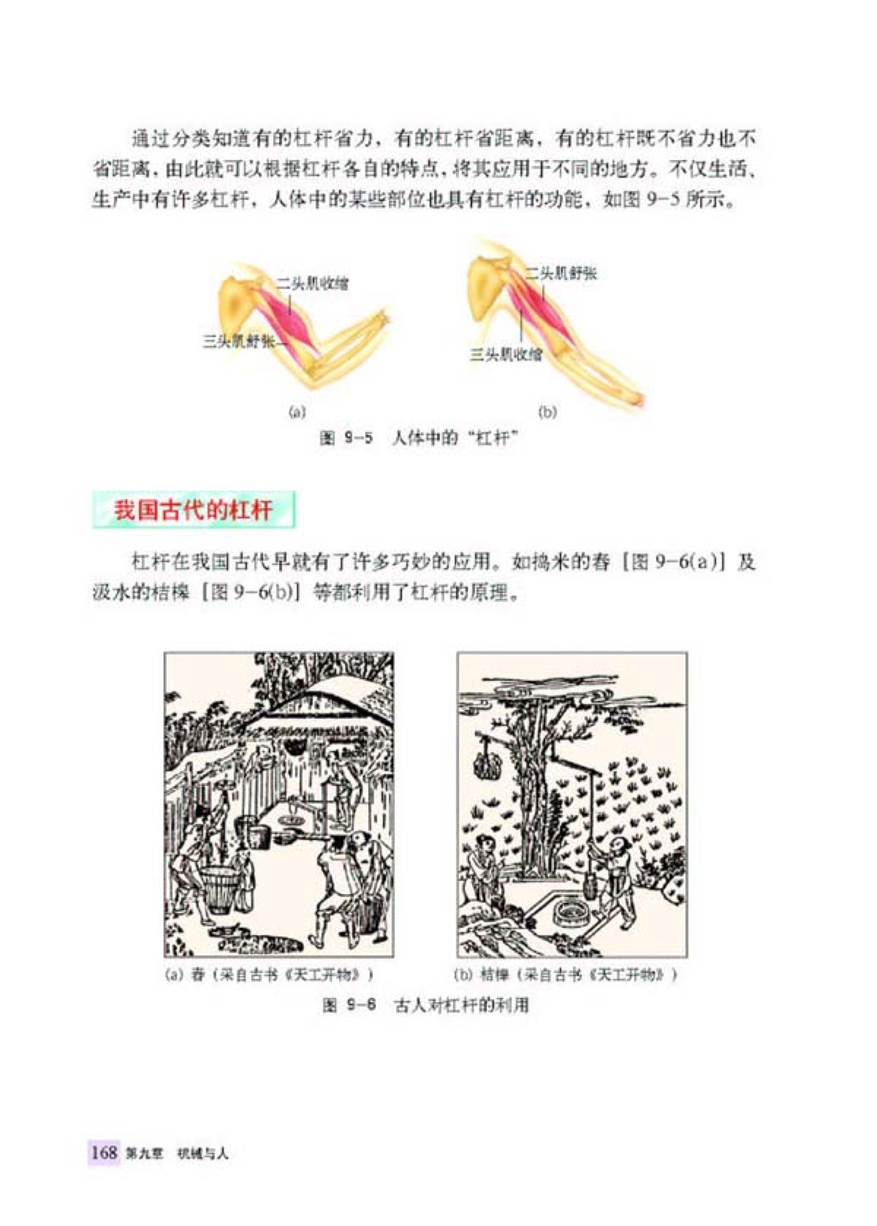 第一节 杠杆的平衡条件(5)