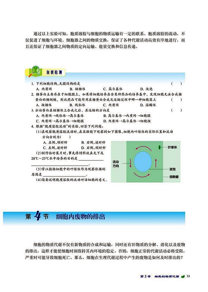 细胞内废物的排除