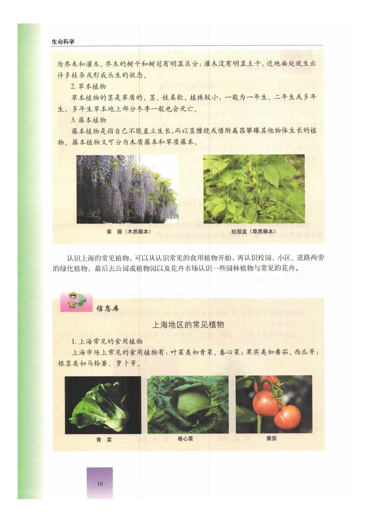 第一节 植物(15)