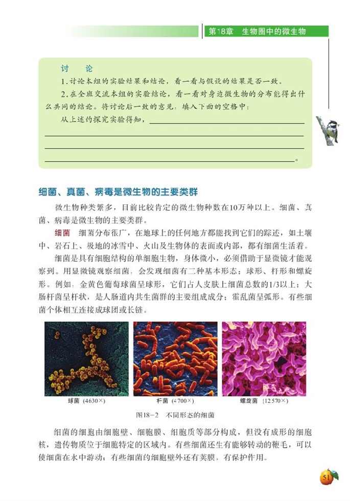 微生物在生物圈中的作用(4)