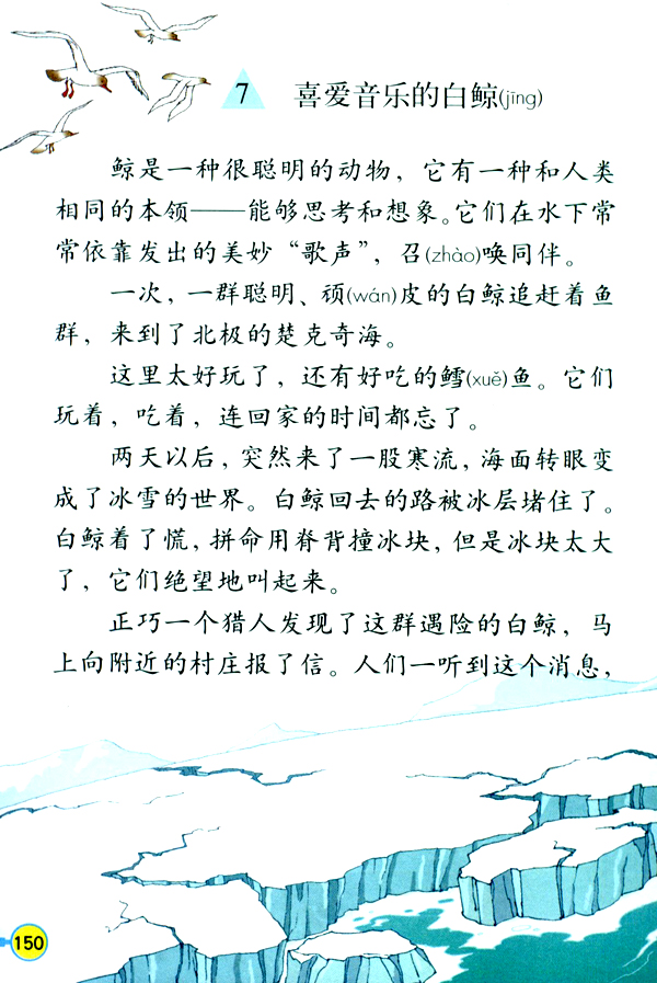 ⑦喜爱音乐的白鲸