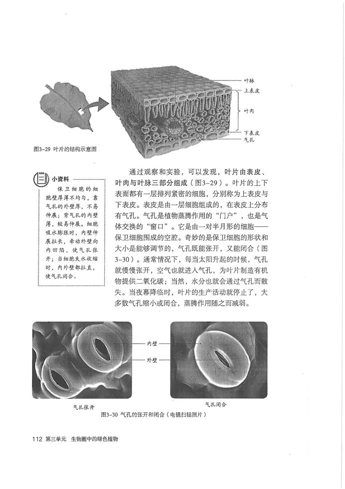 绿色植物与生物圈的水…(5)