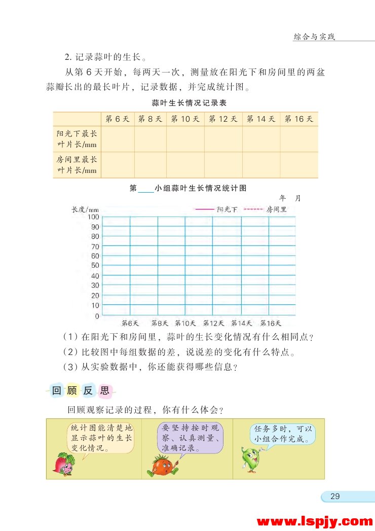 蒜叶的生长(2)