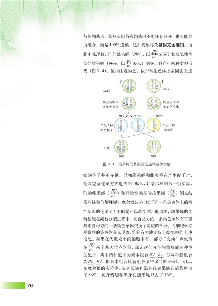 基因链锁和交换定律(3)