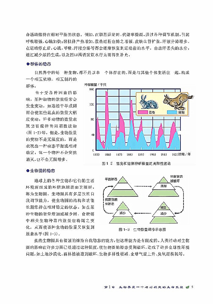 不同层次的稳态(3)