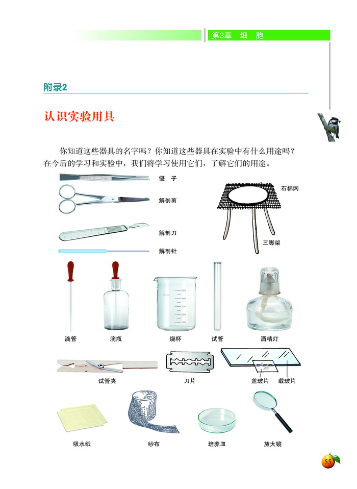 认识实验用具