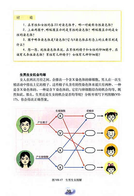 人的性别遗传(3)