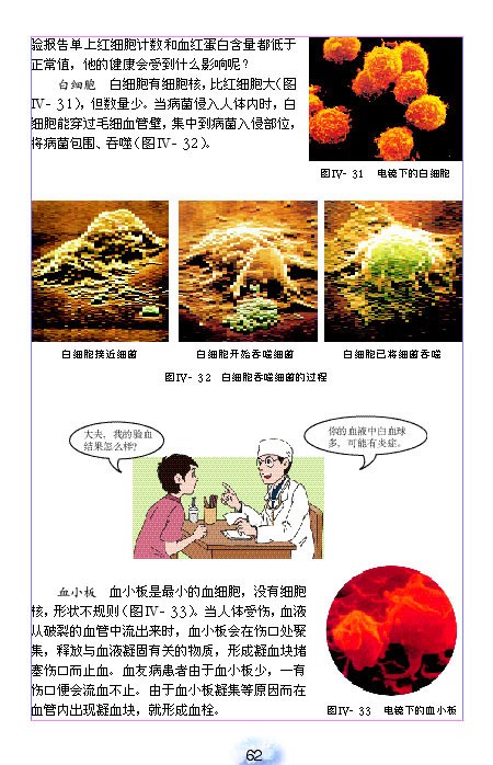 人体内物质的运输(5)