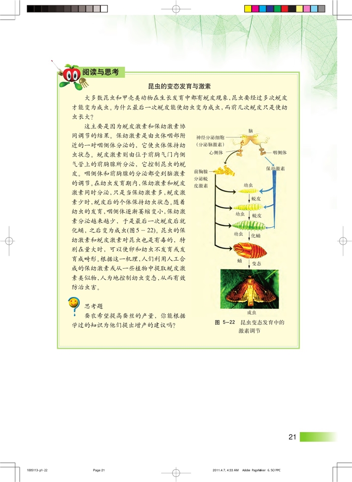 内分泌系统中信息的传递和调节(6)