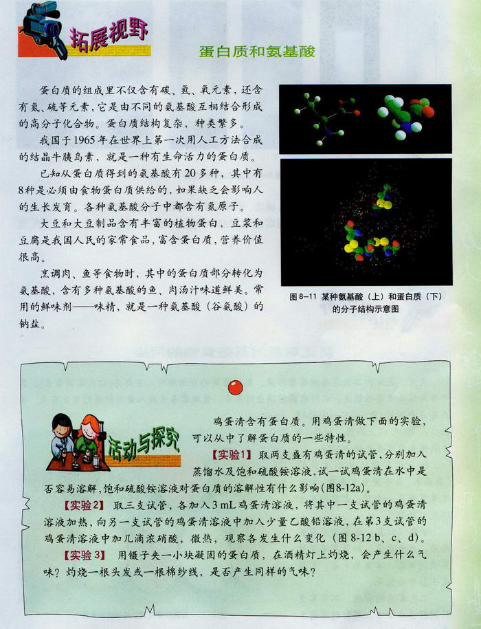 蛋白质和维生素(2)