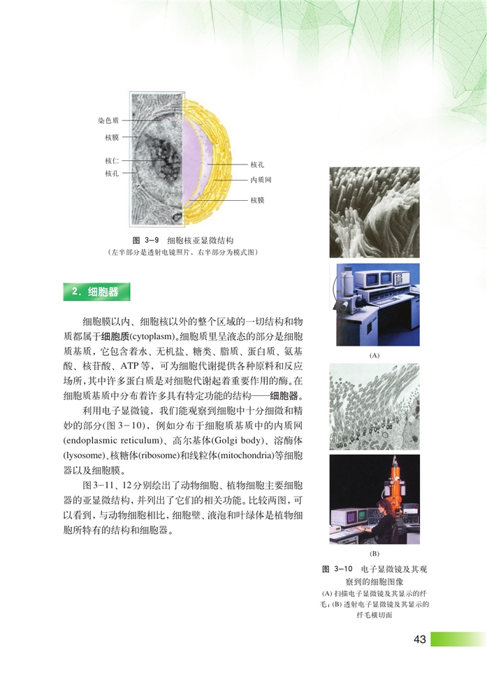 生命结构基础(9)