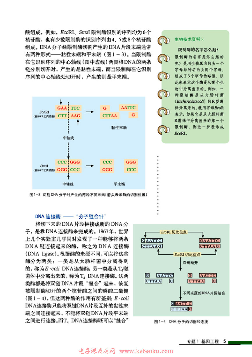 「1」.1 DNA重组技术的基本工具(2)